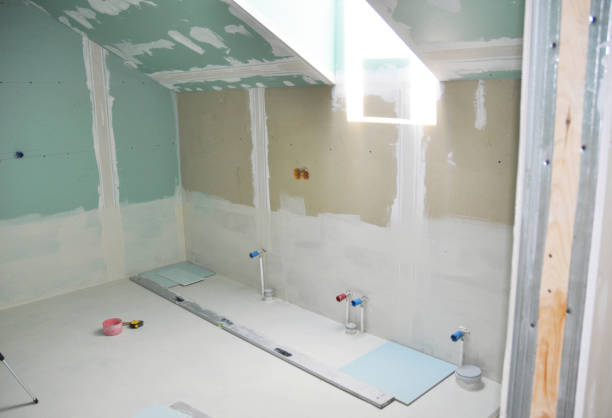 Environmental Consulting for Mold Prevention in Celina, TX