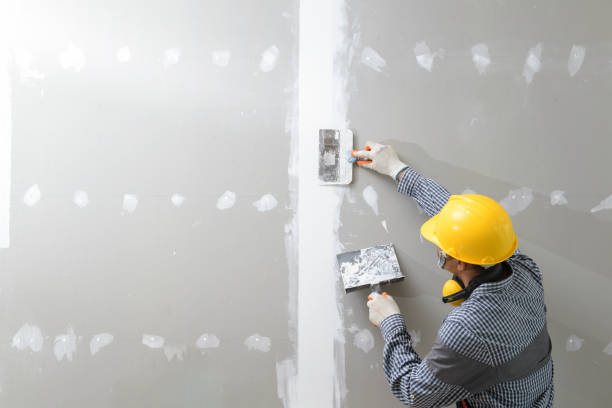 Best Attic Mold Removal  in Celina, TX