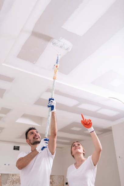 Best Airborne Mold Testing  in Celina, TX