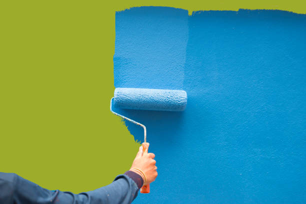 Best Environmental Consulting for Mold Prevention  in Celina, TX