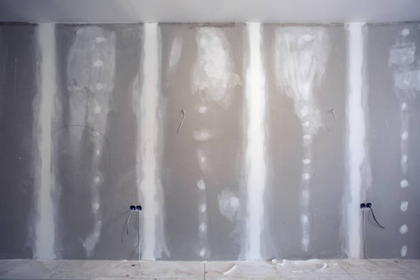 Reliable Celina, TX Mold Removal Solutions